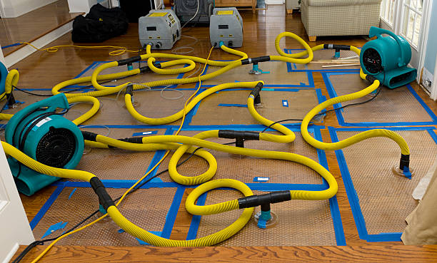 Professional Crawl Space Water Removal technician working in Marathon, FL